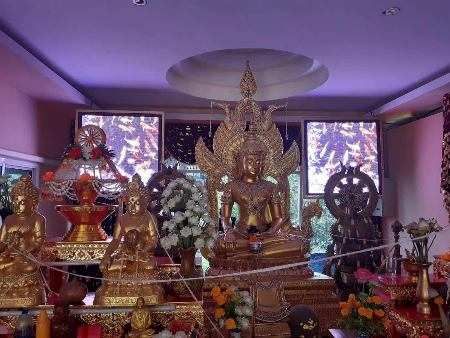 p4-indoor-led-screen-temple